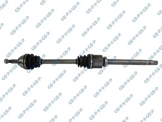 GSP 250447