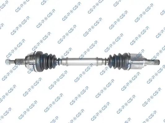 GSP 250451