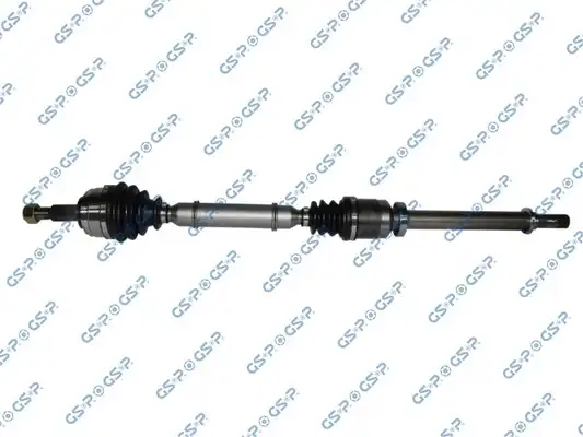 GSP 250452