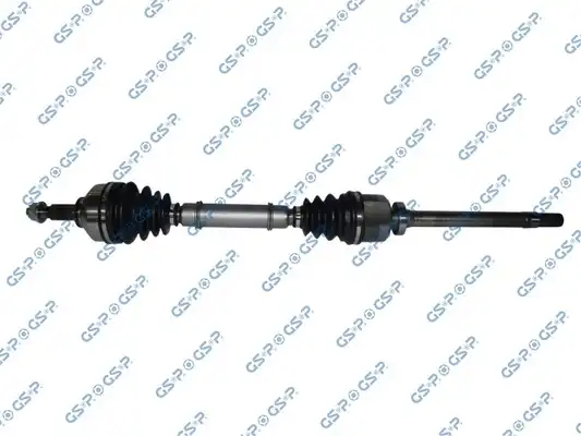 GSP 250454