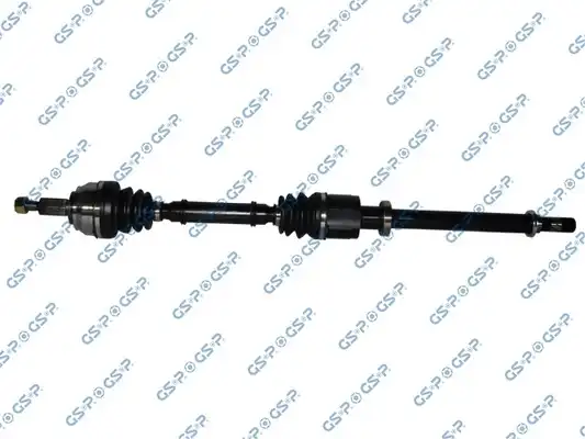 GSP 250455