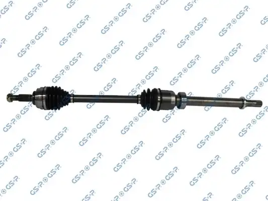GSP 250489