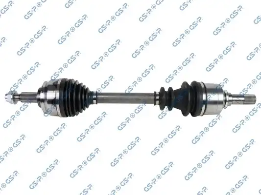 GSP 250493