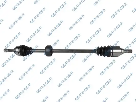 GSP 250513