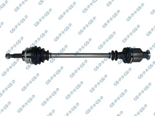 GSP 250524