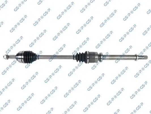 GSP 250541