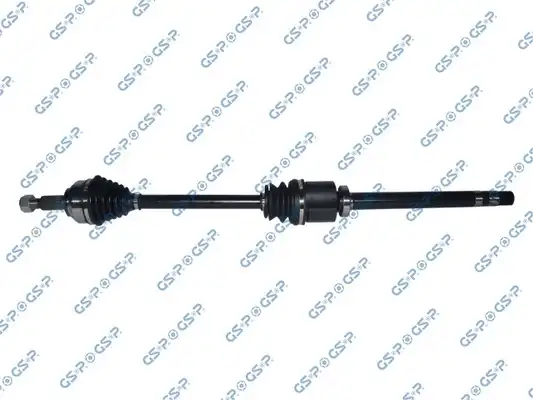 GSP 250554