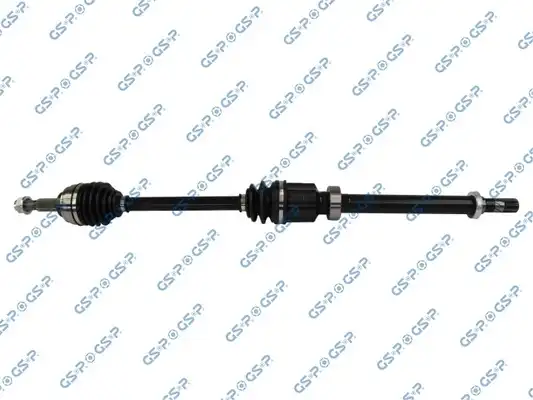 GSP 250563