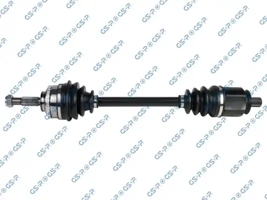GSP 250579