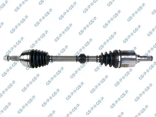 GSP 250587