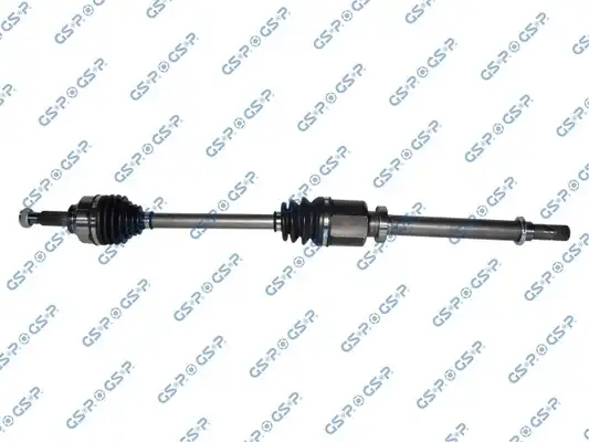 GSP 250593