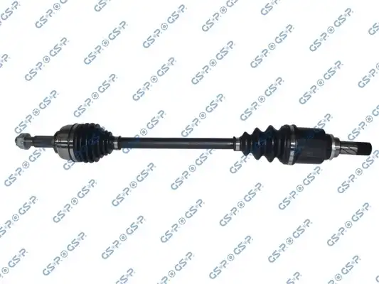 GSP 250620