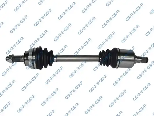 GSP 251003