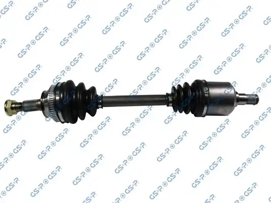GSP 251009