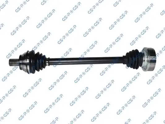 GSP 253007