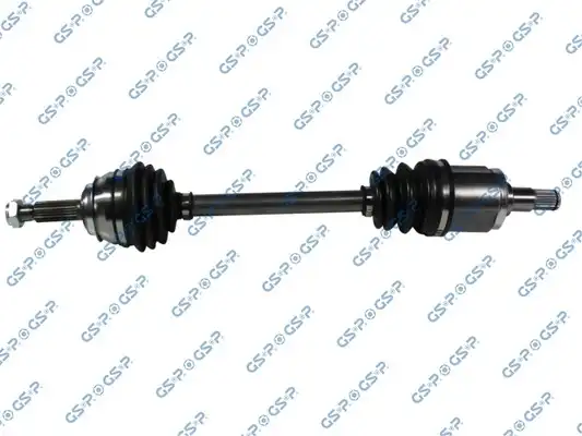 GSP 254001