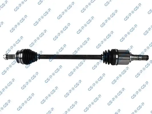 GSP 256013