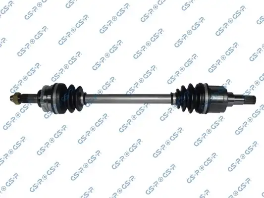GSP 257004