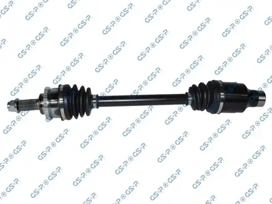 GSP 257061