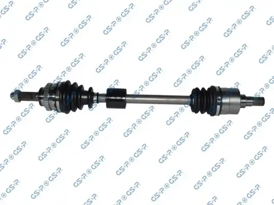GSP 257087