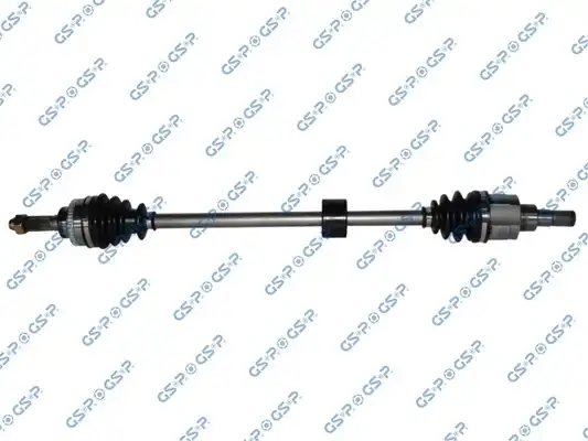 GSP 257124