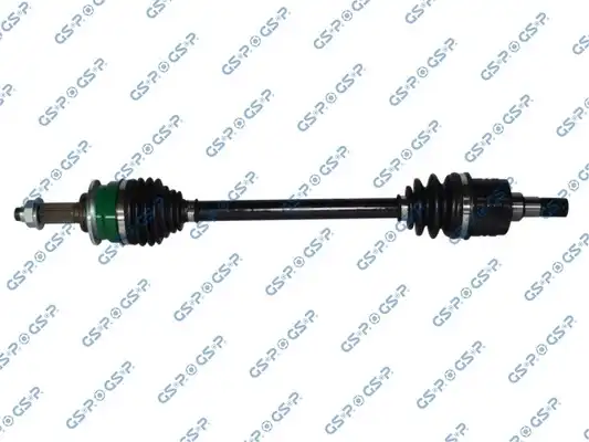 GSP 257166
