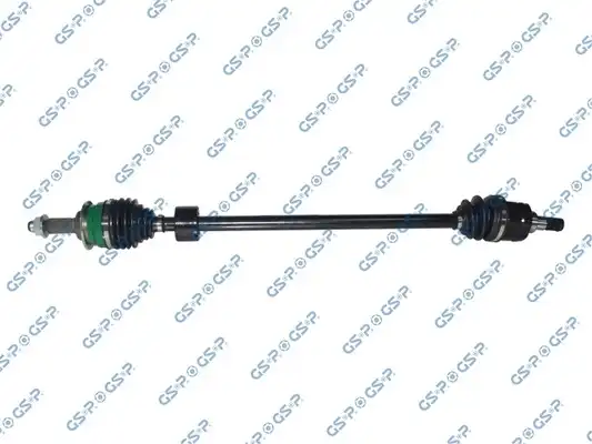 GSP 257167