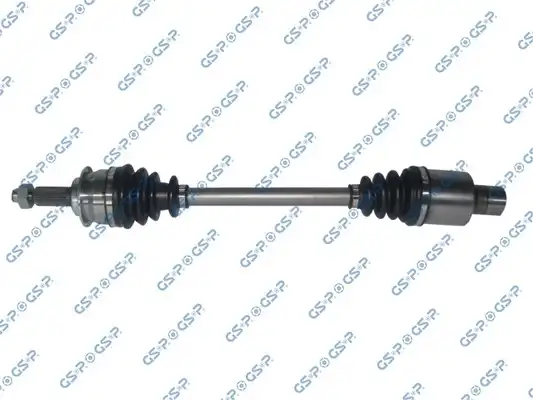 GSP 257197