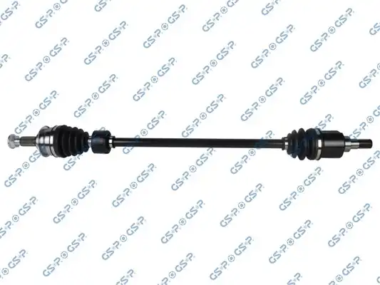 GSP 257221