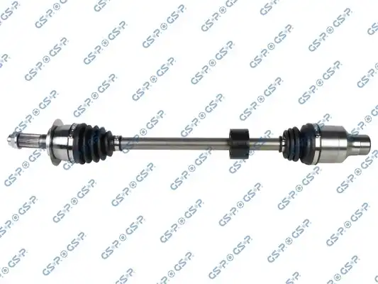 GSP 257290