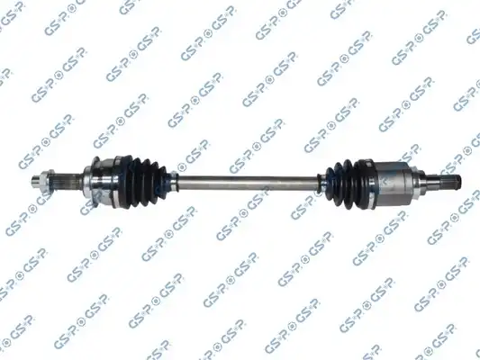 GSP 257296