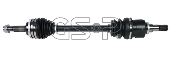 GSP 259209