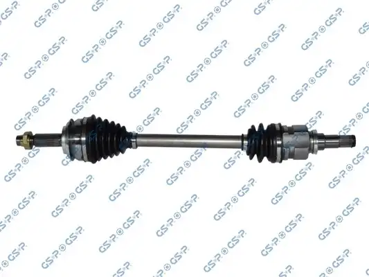 GSP 259343