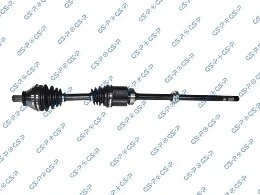 GSP 259346