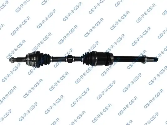 GSP 259446