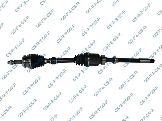 GSP 259518