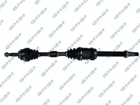 GSP 259519