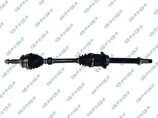 GSP 259589