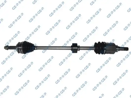 GSP 259636