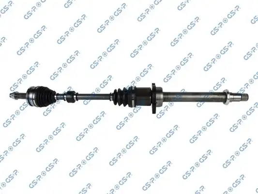 GSP 259658