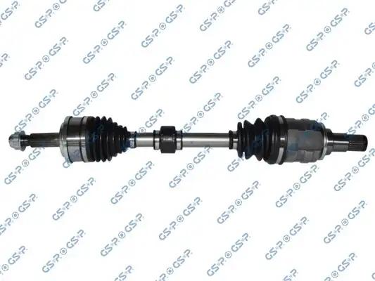 GSP 259673
