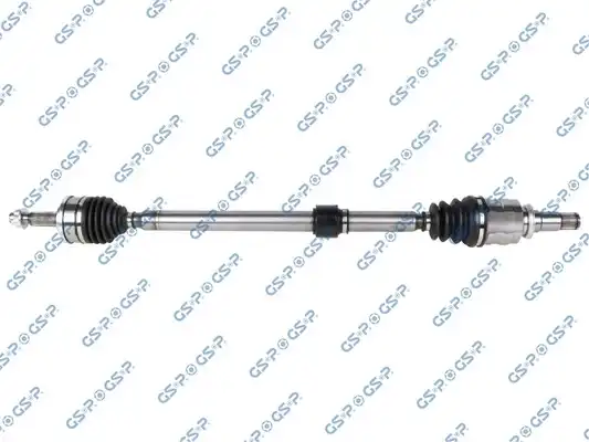 GSP 259674