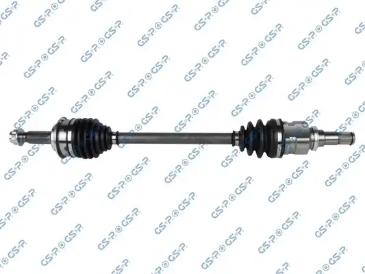 GSP 259680
