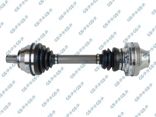 GSP 261173