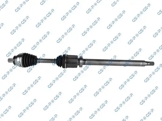 GSP 262091