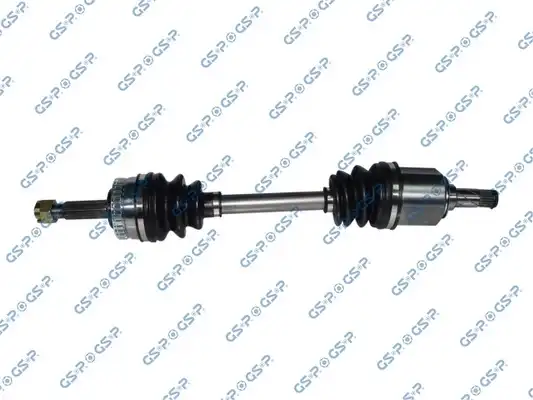 GSP 299069