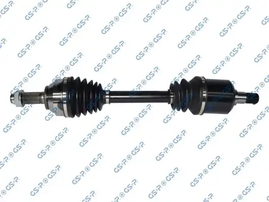 GSP 299134
