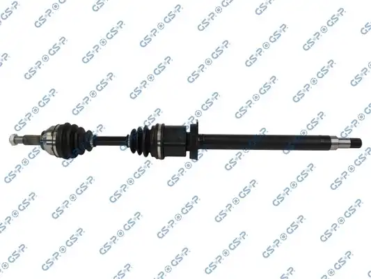 GSP 299176