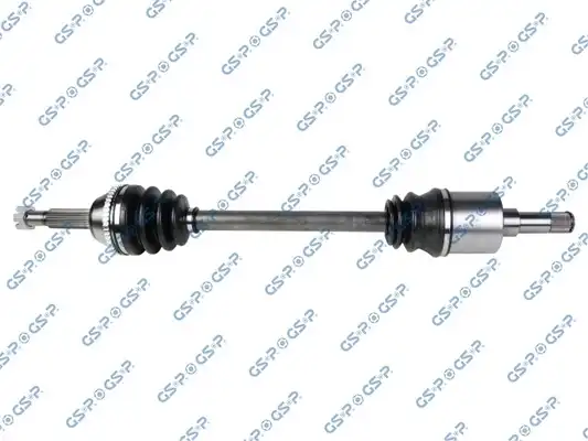 GSP 299179