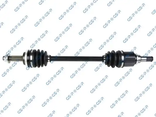 GSP 299181
